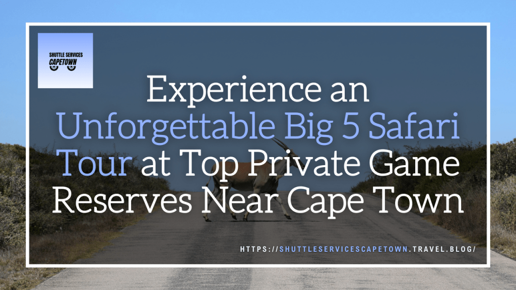 Big 5 Safari Private Game Reserves Near Cape&nbsp;Town